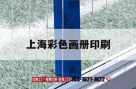 上海彩色畫冊印刷｜上海彩色畫冊印刷廠家