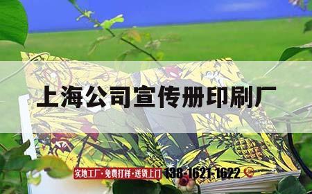 上海公司宣傳冊(cè)印刷廠｜上海印刷廣告公司  第1張